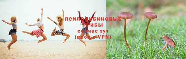таблы Белоозёрский