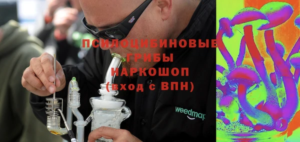 мдпв Белокуриха