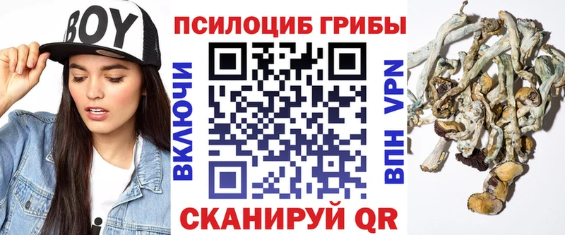 Псилоцибиновые грибы мицелий  Няндома 
